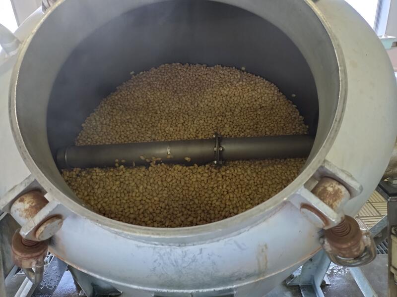 大豆が蒸しあがりました