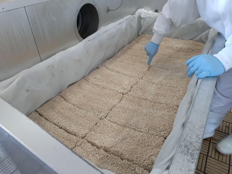 麹もできています