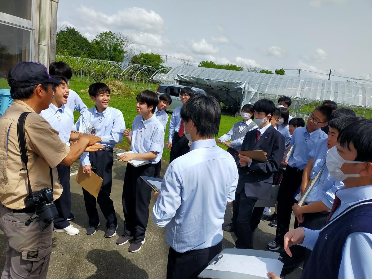 果樹園での様子