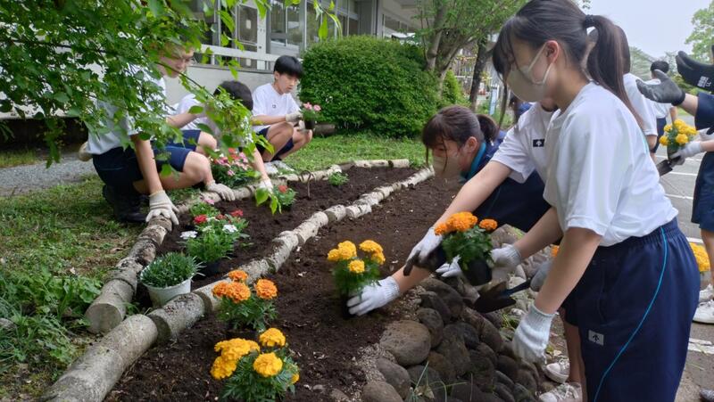 どこに植えようかな？