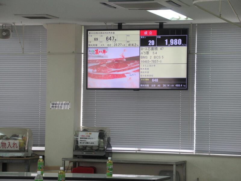 褐色和種２頭目の価格