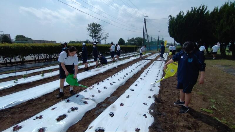 たくさん水をあげます