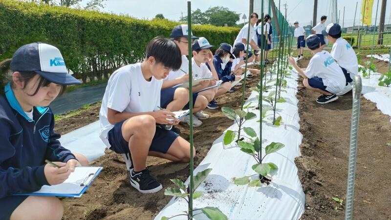 特徴を観察してスケッチもしました