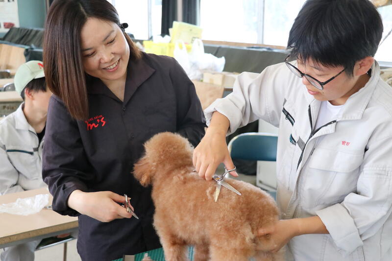 ハサミの使い方