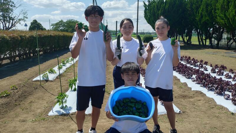 まだ小さいのにこんなに採れました！