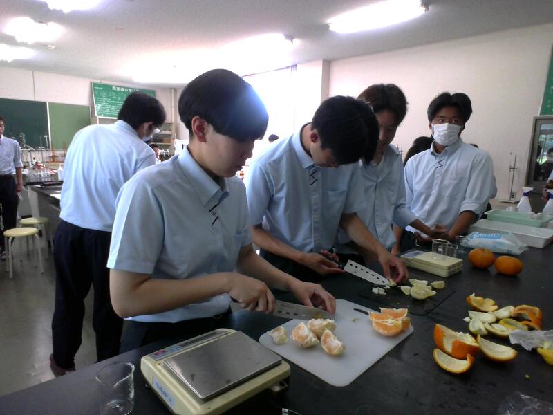 柑橘を１０ｇはかる