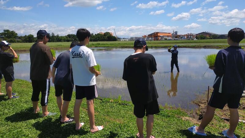 植え方を教わる