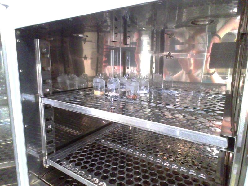 試料を乾燥させる