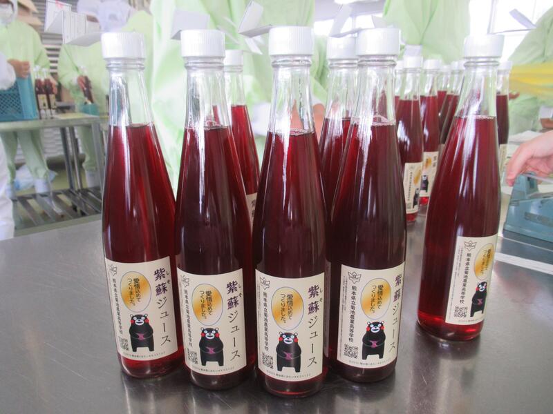 シソジュースの完成！