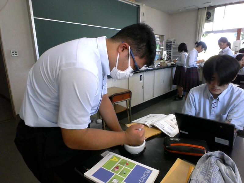試料のごまをすり潰す