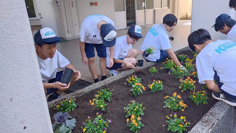 どんな並びで植えようかな？