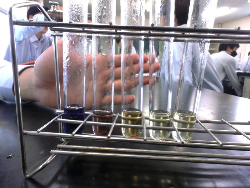 ヨウ素デンプン反応の結果