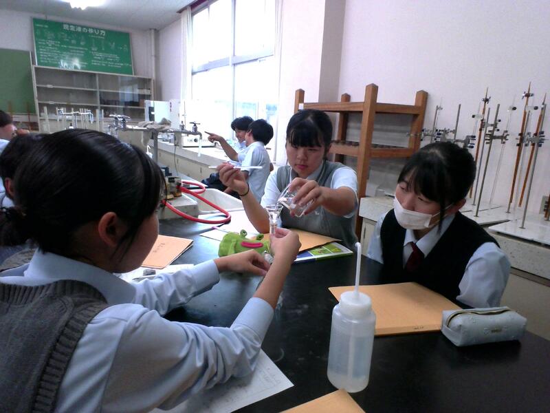 メスアップする