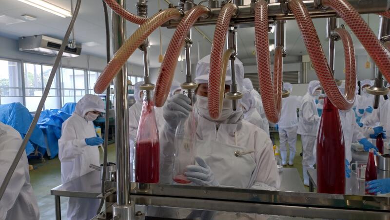 ビンに詰めていきます