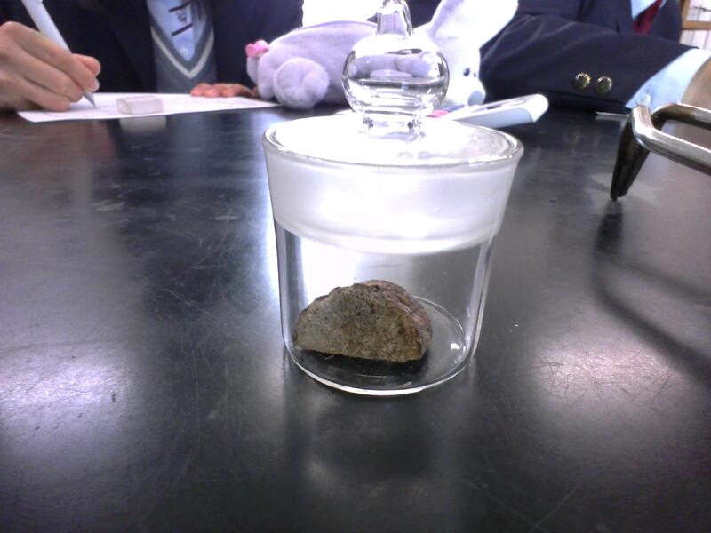 乾燥後のサツマイモ