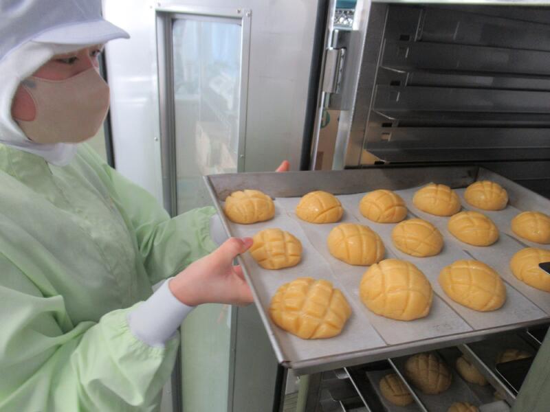 発酵して少し大きくなりました