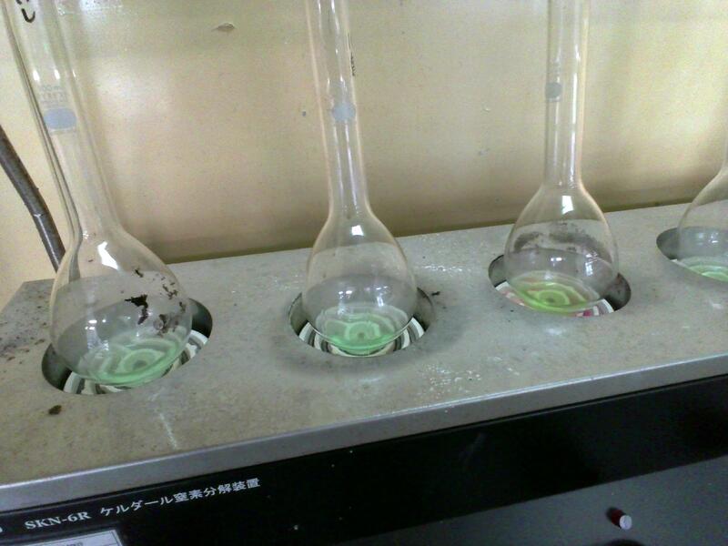 分解が進み黒から緑に変化