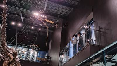 翼竜を見た後は、太古の歴史を確認