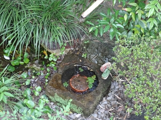 日本庭園2 日本庭園2