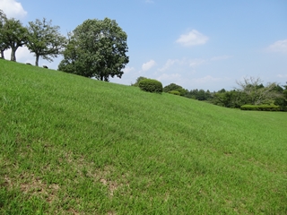 写真部6 写真部6