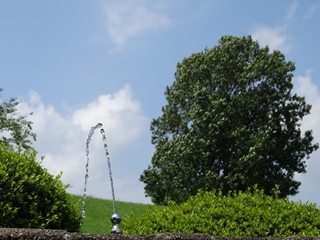 写真部8 写真部8