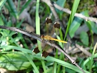 写真部10 写真部10