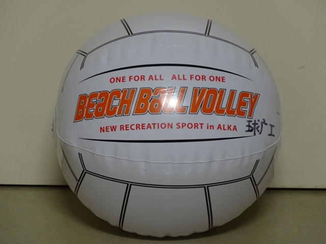 ビーチボールバレー