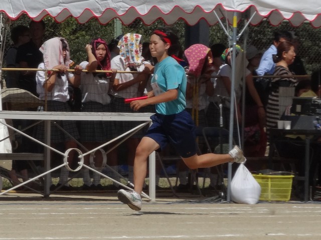 スウェーデンリレー1