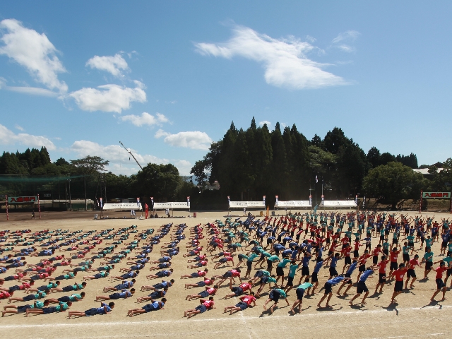 バイオリン奏者5