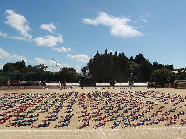 バイオリン奏者6