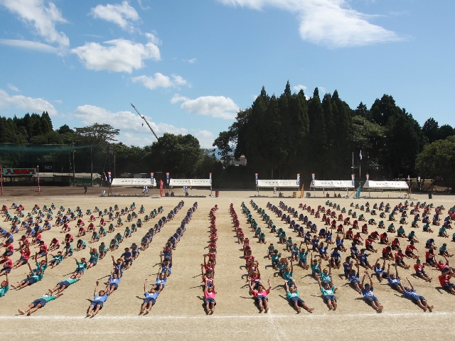 バイオリン奏者7