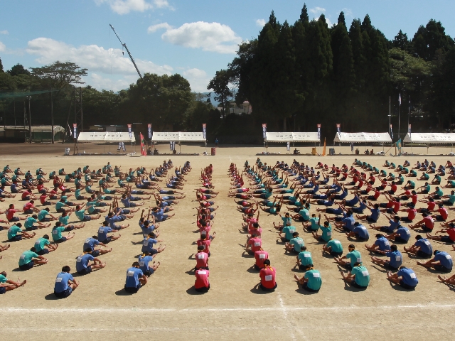 バイオリン奏者9