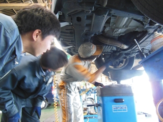 トヨタカローラ熊本