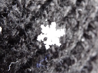 雪1
