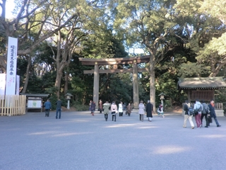 明治神宮1