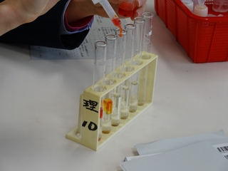 メチルオレンジ1