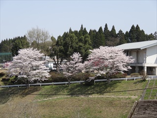 アヤメ公園より2
