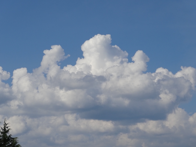 クラスマッチ1 クラスマッチ1