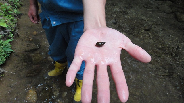 銅山川2 銅山川2