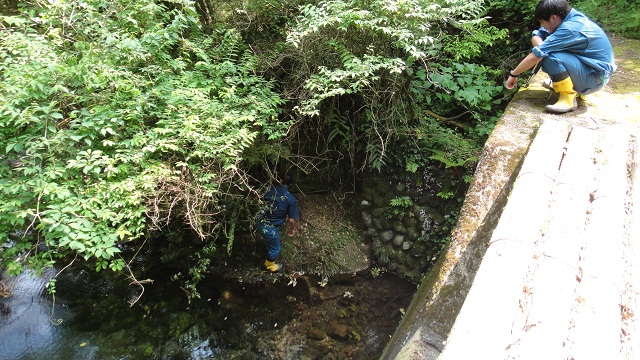 銅山川7 銅山川7