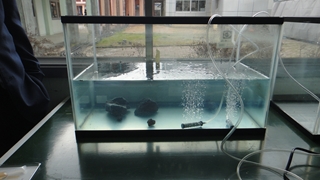 銅山川2 銅山川2