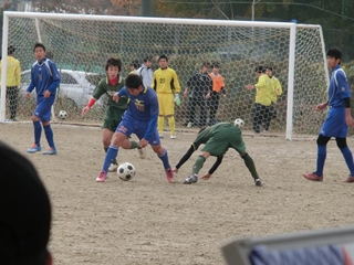 フェスティバル3