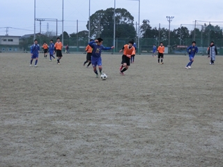 フェスティバル6