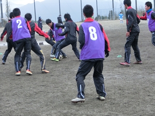 フェスティバル8