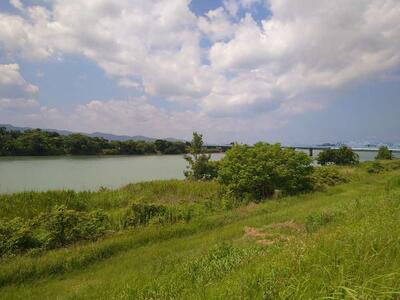 八代市の球磨川