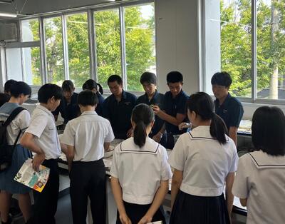 藍の生葉染め体験