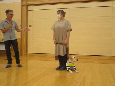 ハーネスを付けるとお仕事モード！凛々しい！