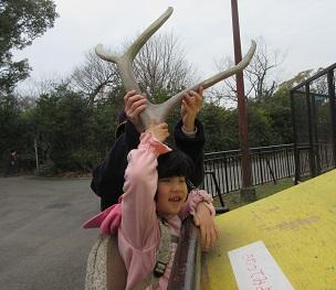 角を頭にのせてみたよ