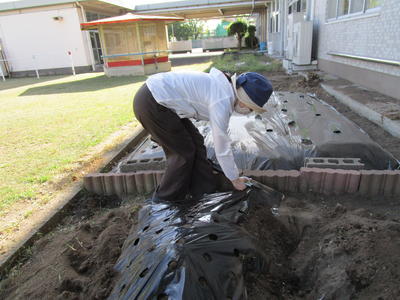 草が生えないように・・・