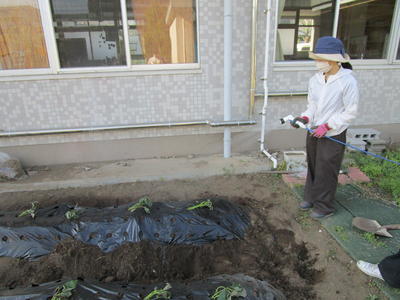 たっぷりのお水をあげたよ！